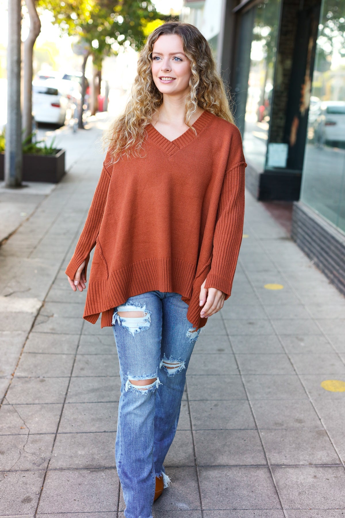 Daydream V Neck Rib Knit Sweater • Rust