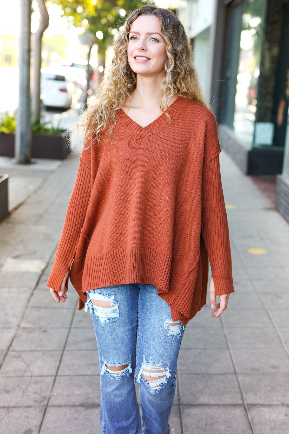 Daydream V Neck Rib Knit Sweater • Rust