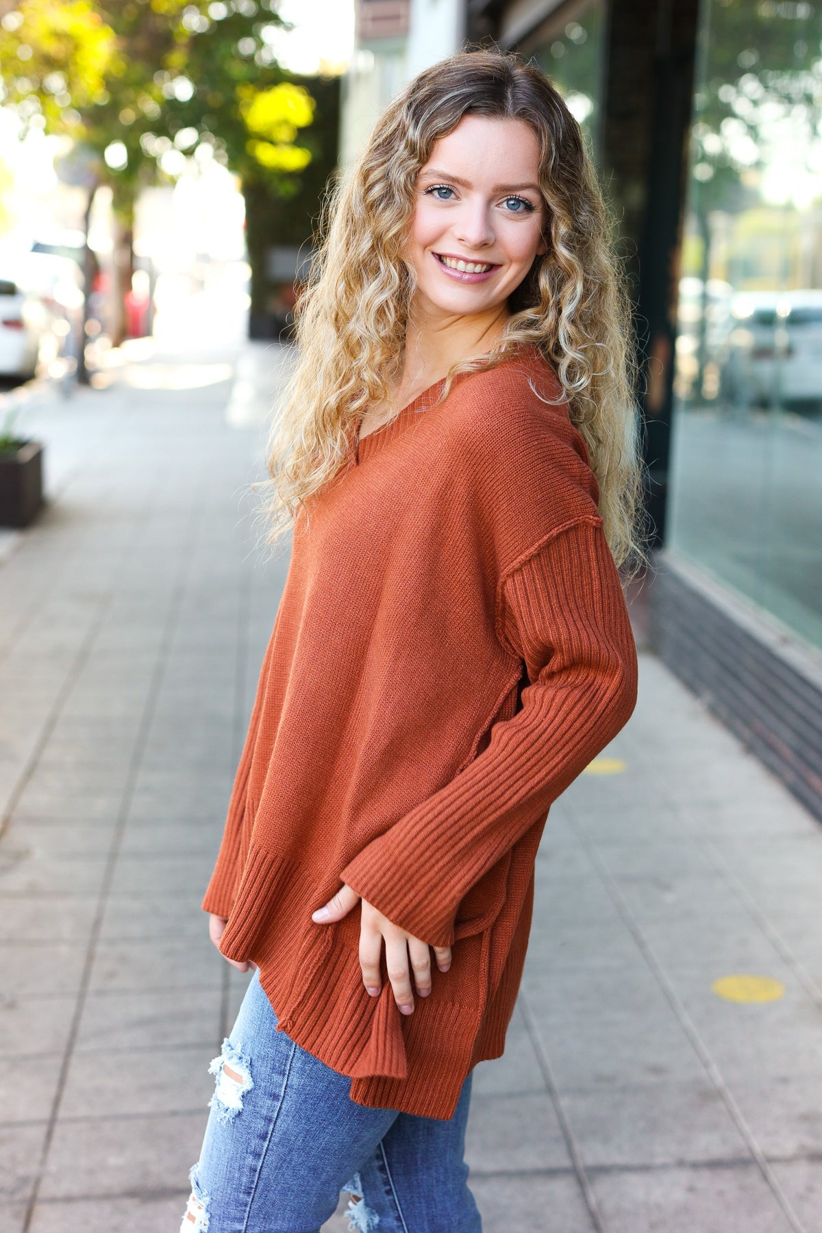 Daydream V Neck Rib Knit Sweater • Rust